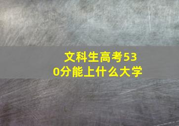 文科生高考530分能上什么大学