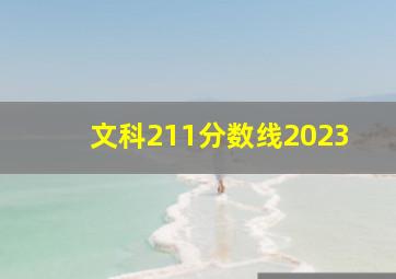 文科211分数线2023