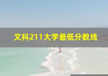 文科211大学最低分数线