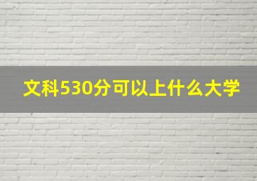 文科530分可以上什么大学