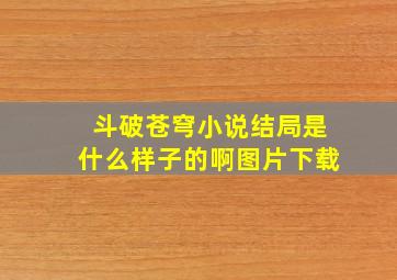 斗破苍穹小说结局是什么样子的啊图片下载