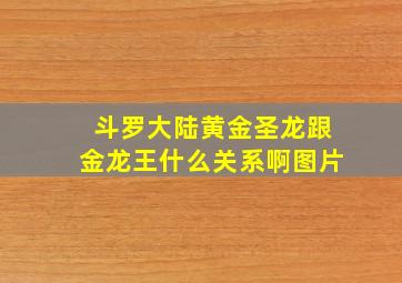 斗罗大陆黄金圣龙跟金龙王什么关系啊图片