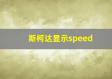 斯柯达显示speed