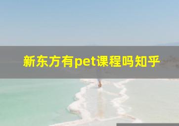 新东方有pet课程吗知乎