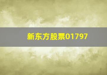 新东方股票01797