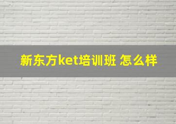 新东方ket培训班 怎么样