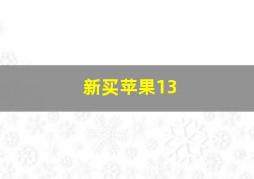 新买苹果13