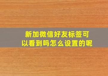 新加微信好友标签可以看到吗怎么设置的呢