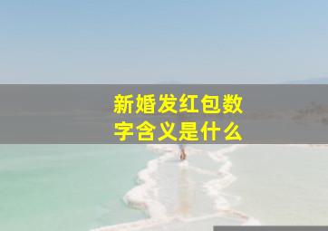 新婚发红包数字含义是什么