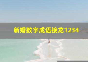 新婚数字成语接龙1234