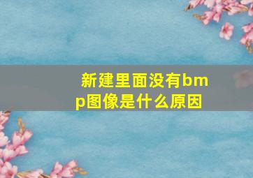 新建里面没有bmp图像是什么原因