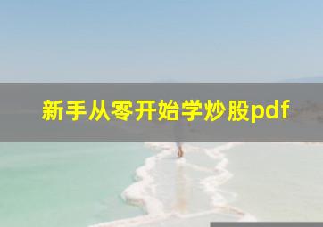 新手从零开始学炒股pdf