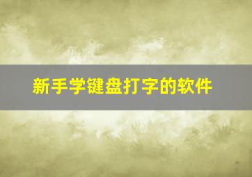 新手学键盘打字的软件