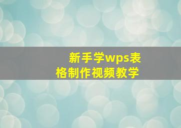 新手学wps表格制作视频教学