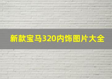 新款宝马320内饰图片大全