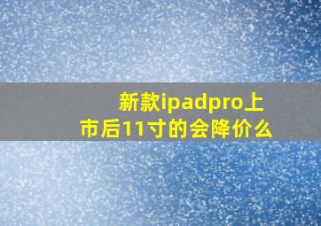 新款ipadpro上市后11寸的会降价么