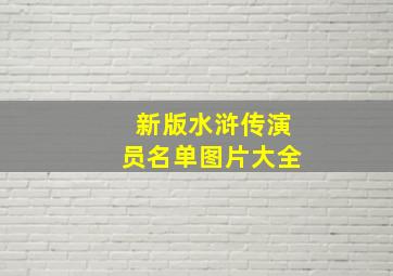 新版水浒传演员名单图片大全