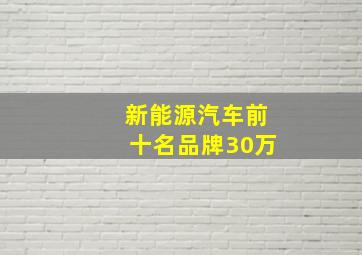 新能源汽车前十名品牌30万