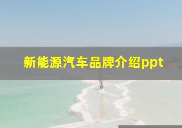 新能源汽车品牌介绍ppt