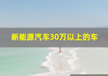 新能源汽车30万以上的车