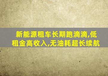 新能源租车长期跑滴滴,低租金高收入,无油耗超长续航