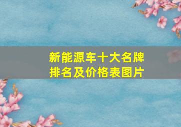 新能源车十大名牌排名及价格表图片