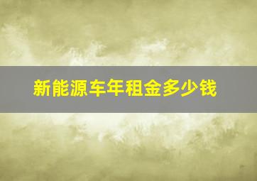 新能源车年租金多少钱