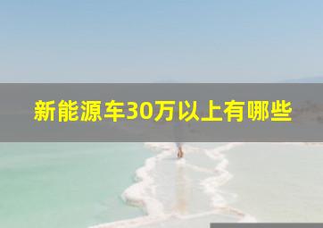 新能源车30万以上有哪些