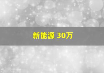 新能源 30万