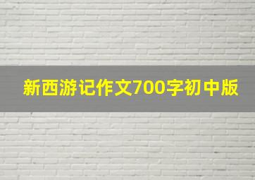 新西游记作文700字初中版