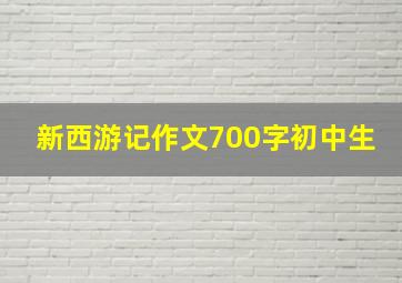 新西游记作文700字初中生