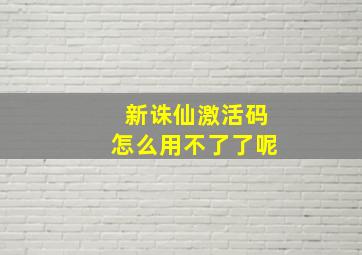 新诛仙激活码怎么用不了了呢