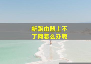 新路由器上不了网怎么办呢