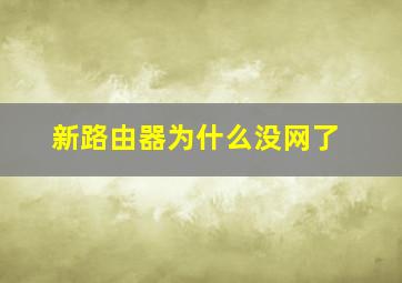 新路由器为什么没网了