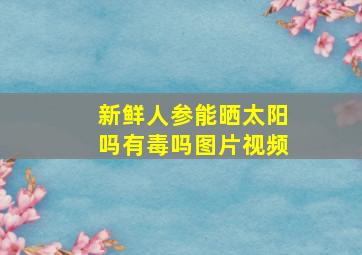 新鲜人参能晒太阳吗有毒吗图片视频