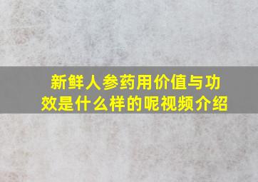 新鲜人参药用价值与功效是什么样的呢视频介绍