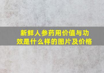 新鲜人参药用价值与功效是什么样的图片及价格