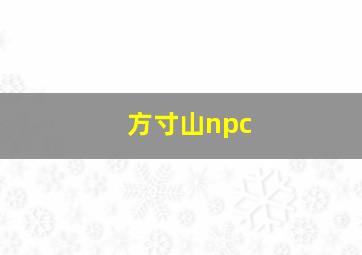 方寸山npc