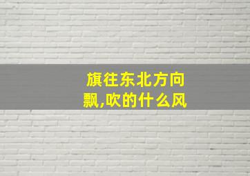 旗往东北方向飘,吹的什么风