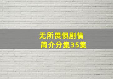 无所畏惧剧情简介分集35集