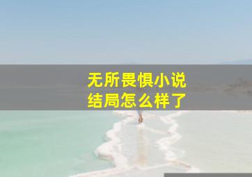 无所畏惧小说结局怎么样了