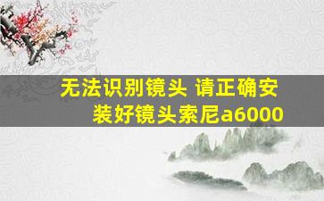 无法识别镜头 请正确安装好镜头索尼a6000