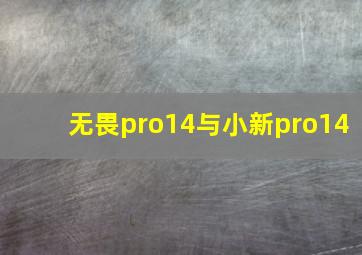 无畏pro14与小新pro14