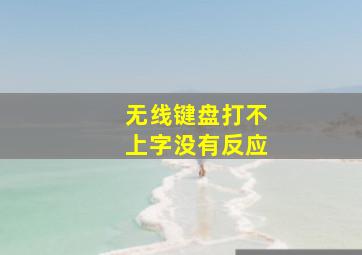 无线键盘打不上字没有反应