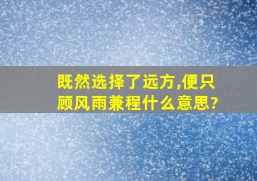 既然选择了远方,便只顾风雨兼程什么意思?