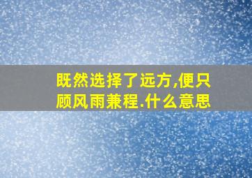 既然选择了远方,便只顾风雨兼程.什么意思