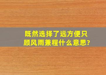 既然选择了远方便只顾风雨兼程什么意思?