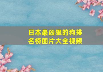 日本最凶狠的狗排名榜图片大全视频