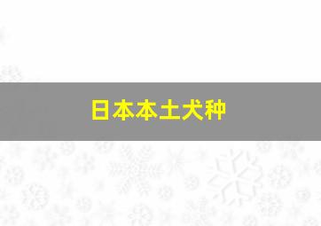 日本本土犬种