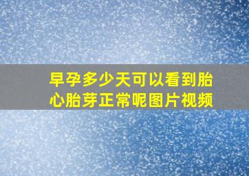 早孕多少天可以看到胎心胎芽正常呢图片视频